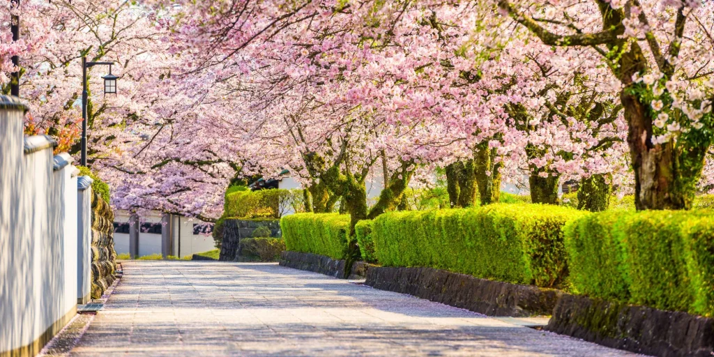 スポットのよみもの