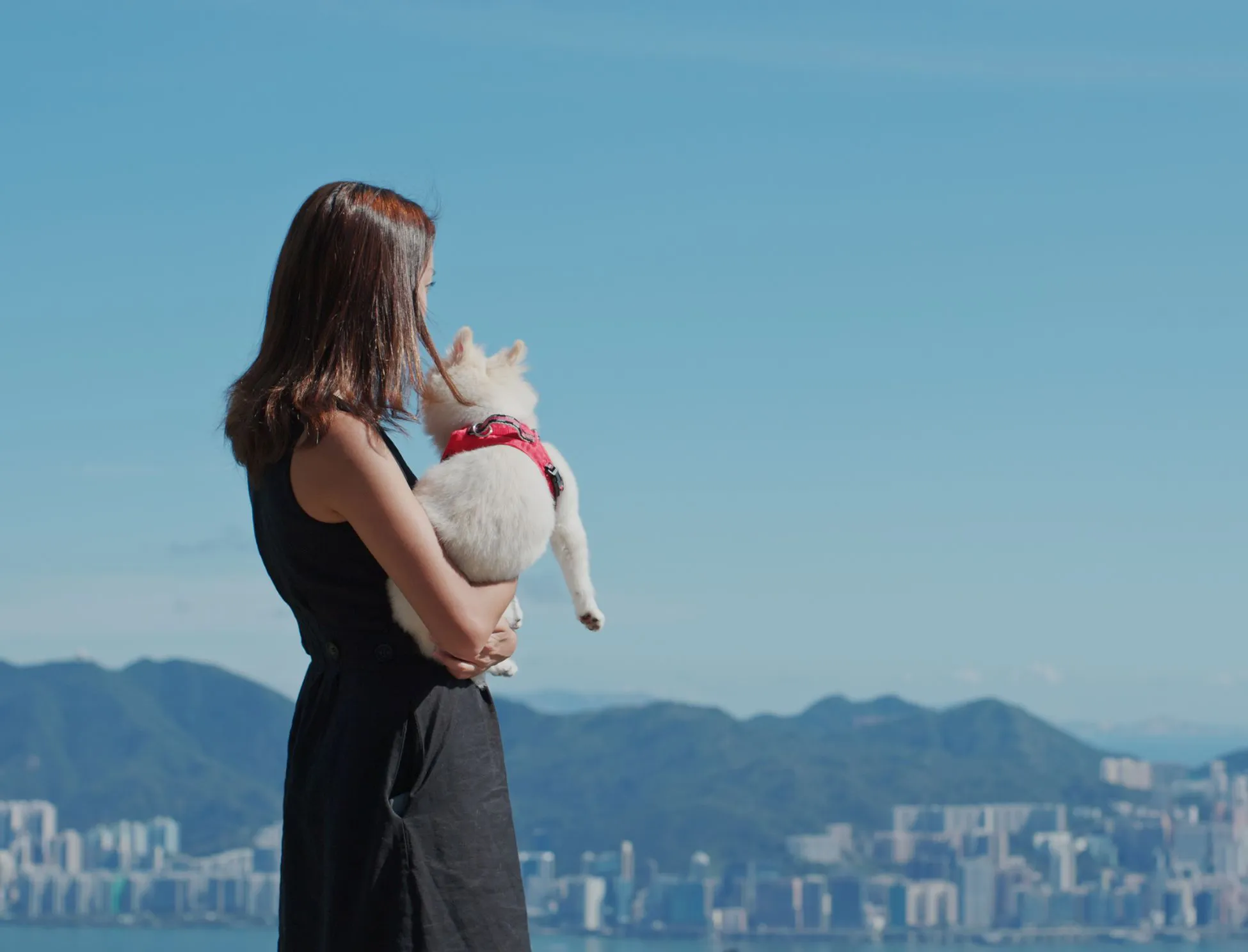 高台からの景色